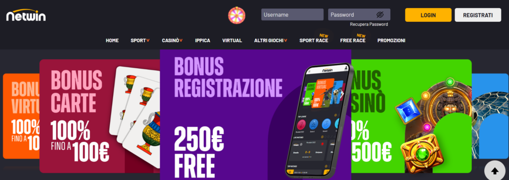 Netwin Homepage